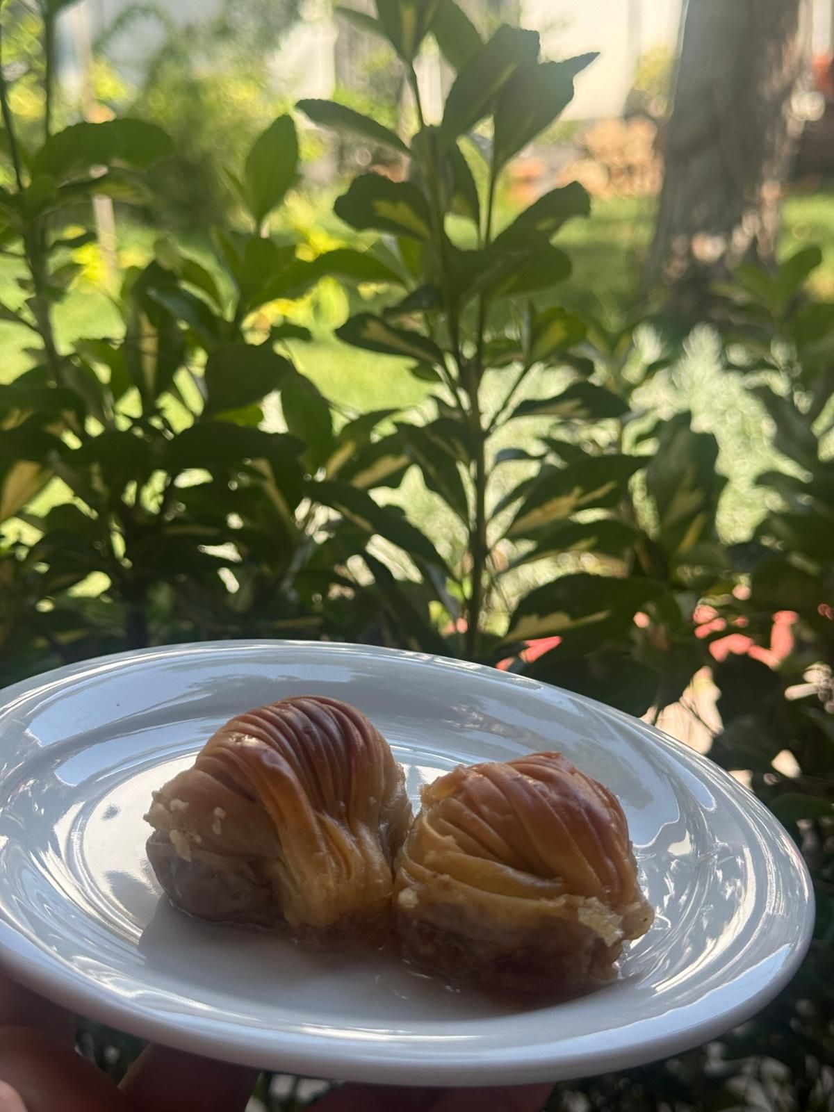 Midye (mussel) baklava